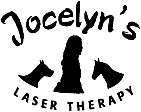 Jocelyn Laser Therapy